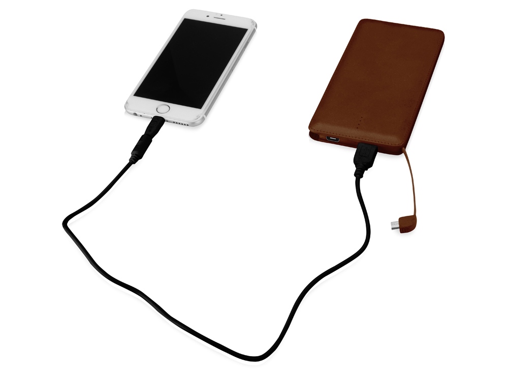 Портативное зарядное устройство Стор, 10000 mAh, коричневый-2