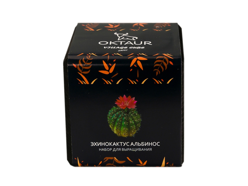 Набор для выращивания Small village cube Эхинокактус Альбинос-1