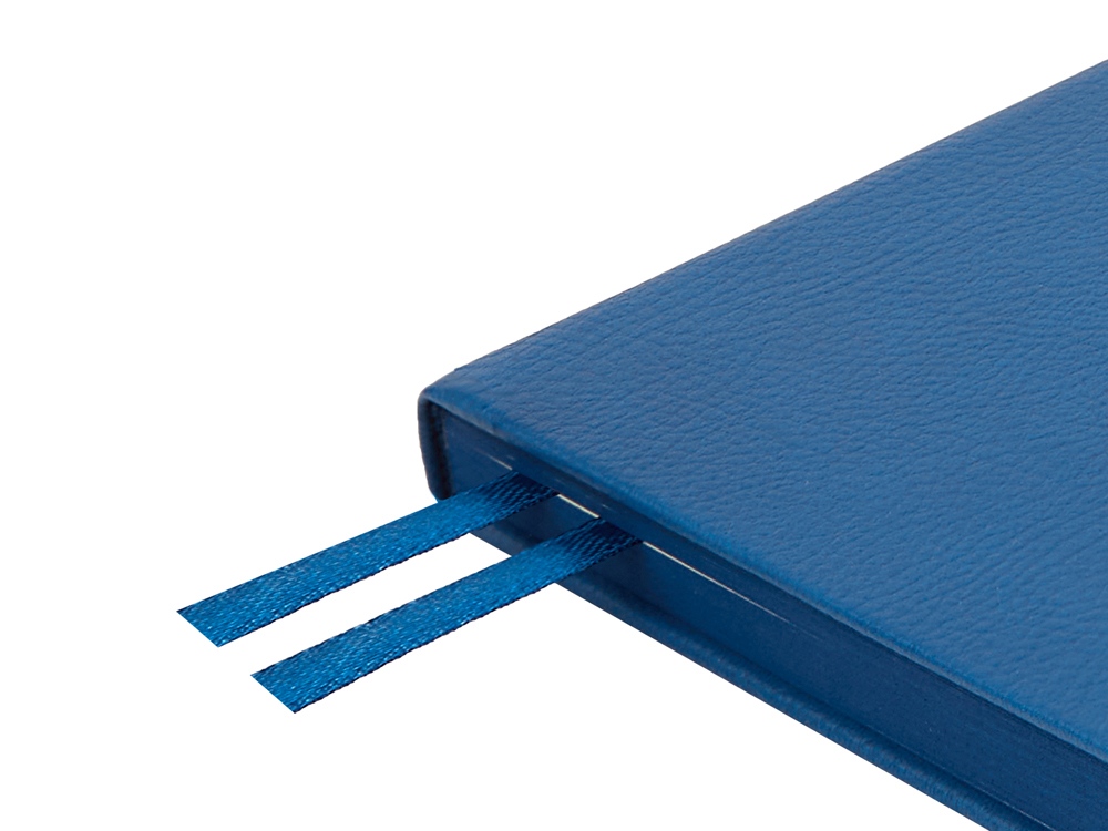 Ежедневник А5 датированный Megapolis Nappa на 2026, синий-4