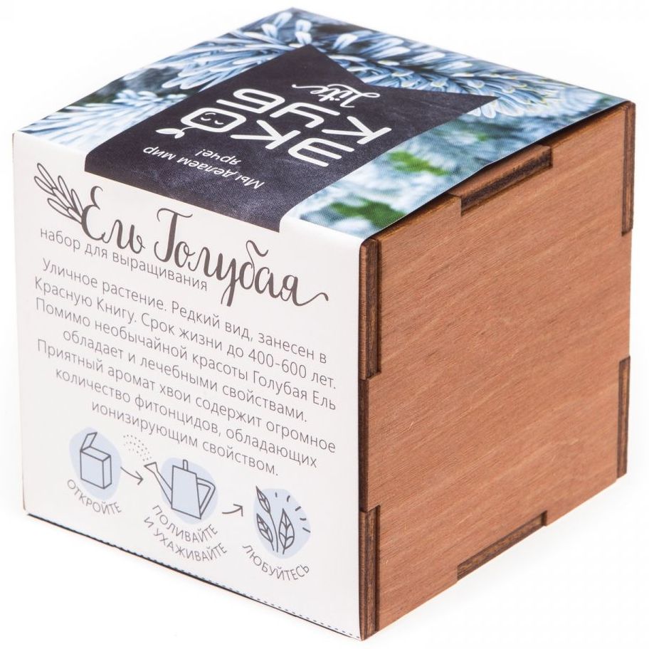 Набор для выращивания «Экокуб Lite», ель голубая-3