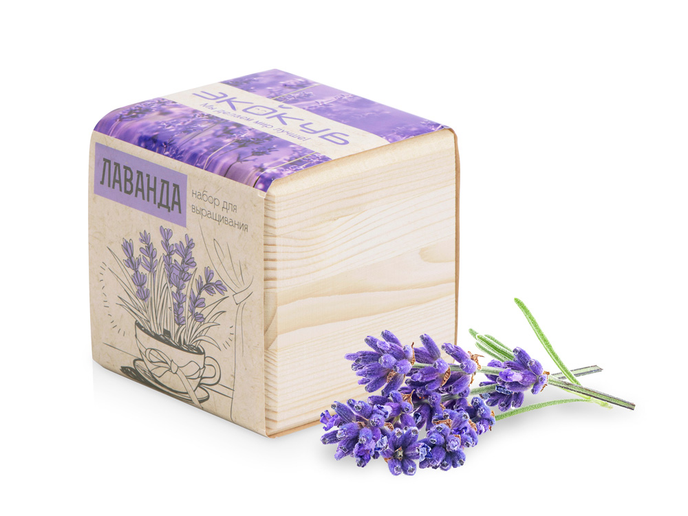 Набор для выращивания Экокуб Classic Лаванда-0