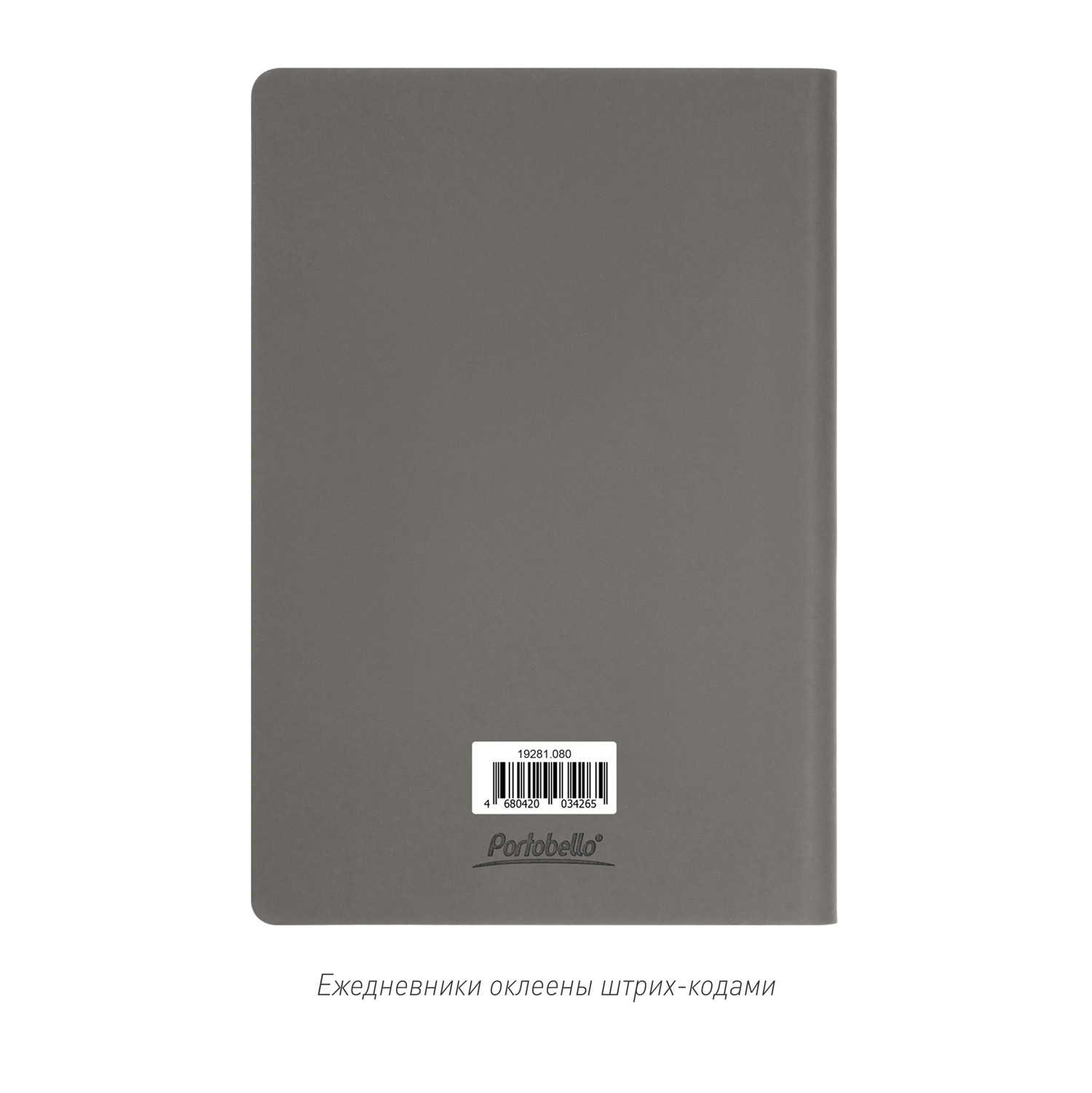 Ежедневник Star недатированный, серый (с упаковкой, со стикерами)-12