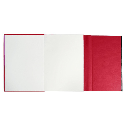 Ежедневник Alfa Bird Petrus A5, Красный-3