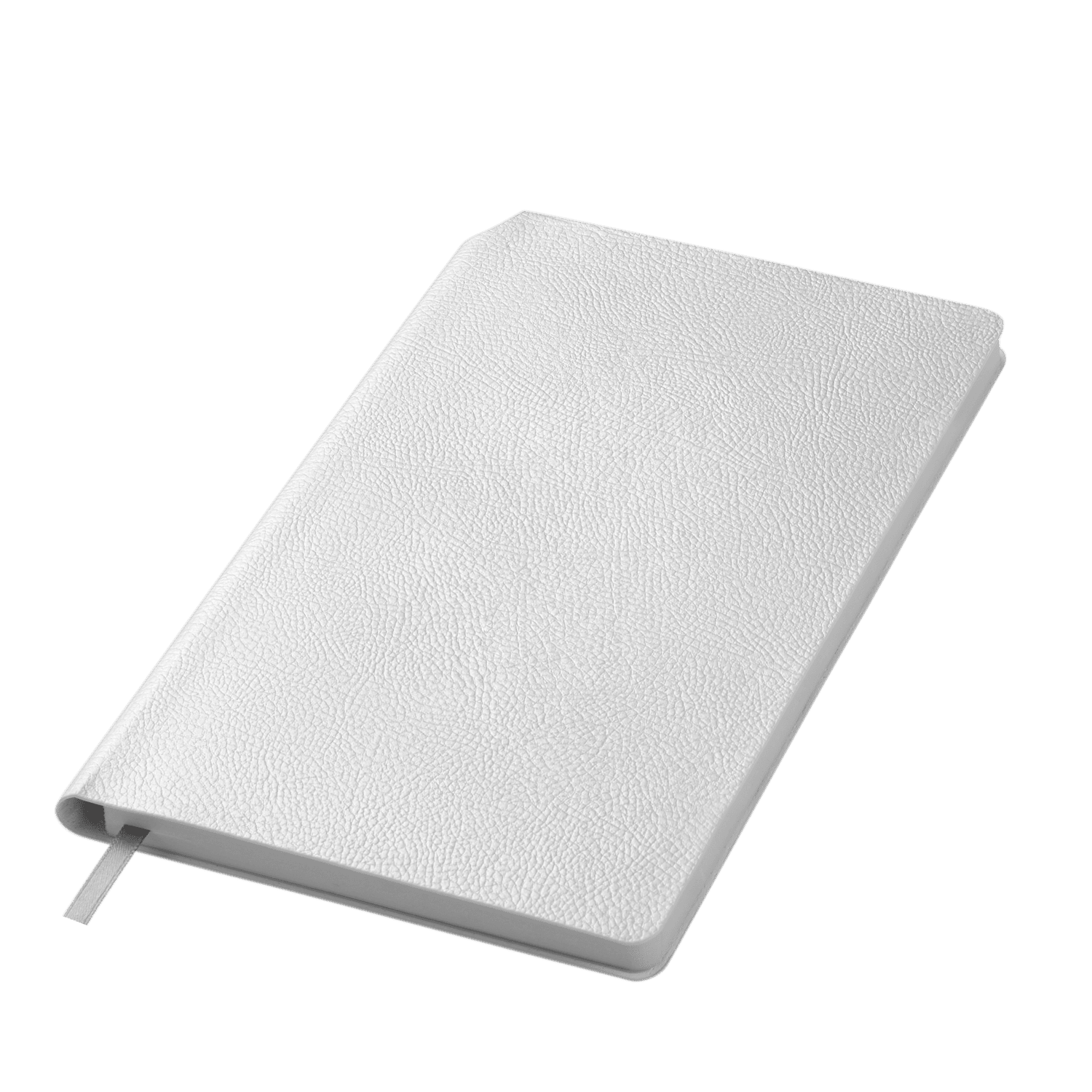 Ежедневник Molto недатированный, серебряный-1