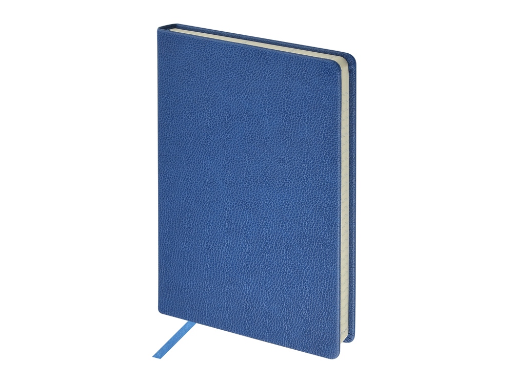 Ежедневник А5 датированный Megapolis Loft на 2026, синий-0