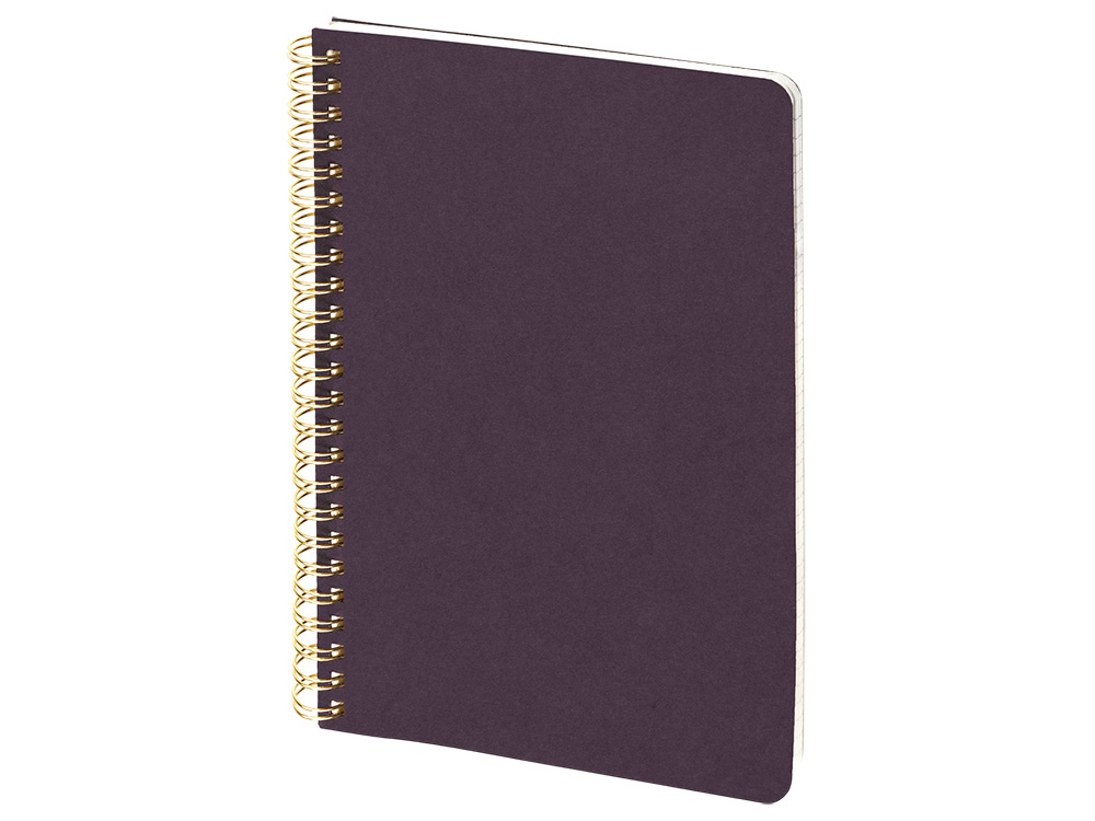 Бизнес тетрадь на гребне А5 Pragmatic, 60 листов в клетку, фиолетовый-0