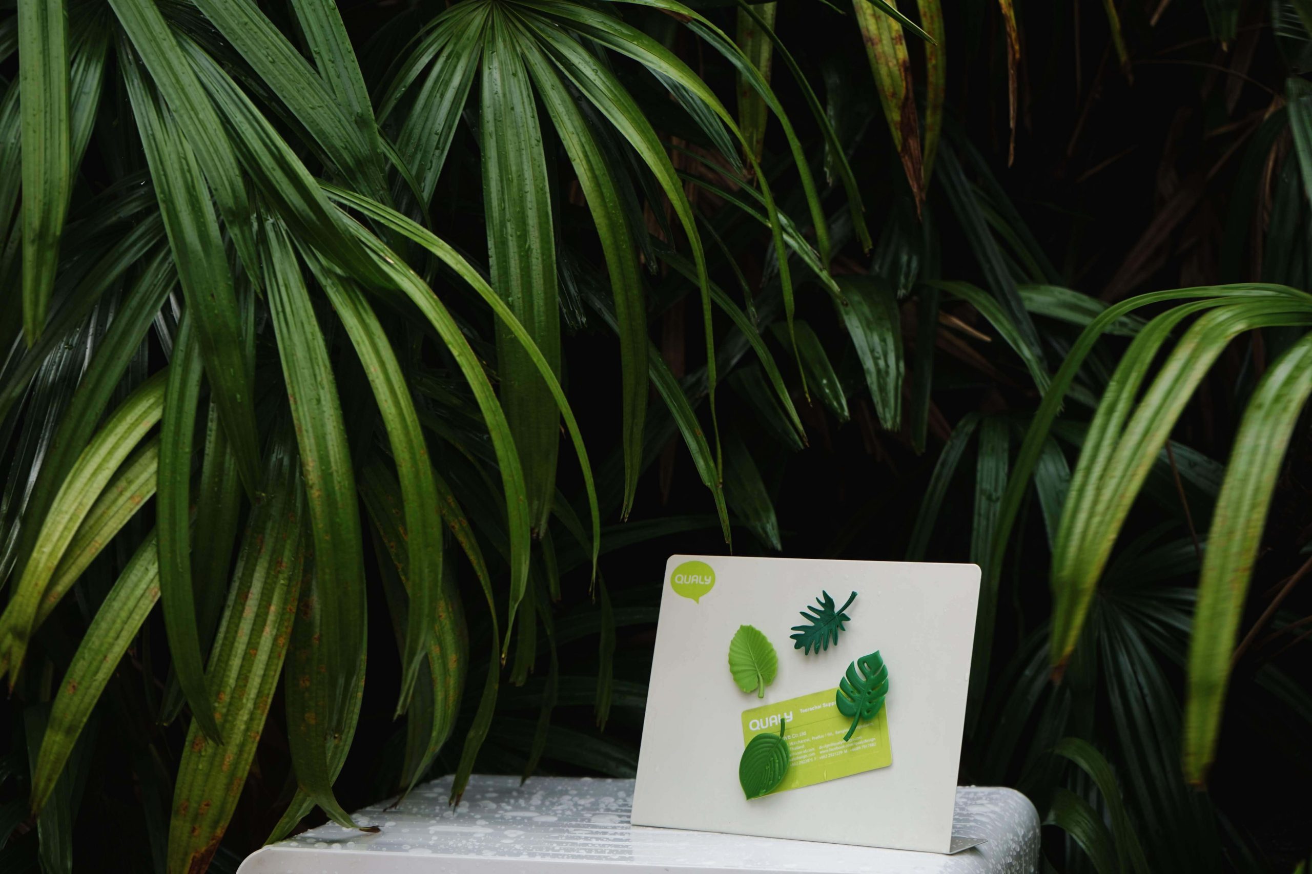 Набор магнитов Тропики, Зелёный-1