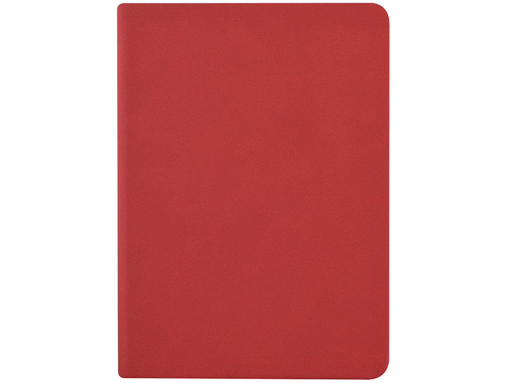 Ежедневник недатированный А6+ Megapolis Color, красный-3