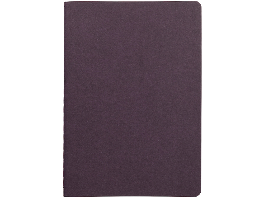 Бизнес тетрадь А5 Pragmatic, 40 листов в клетку, фиолетовый-2