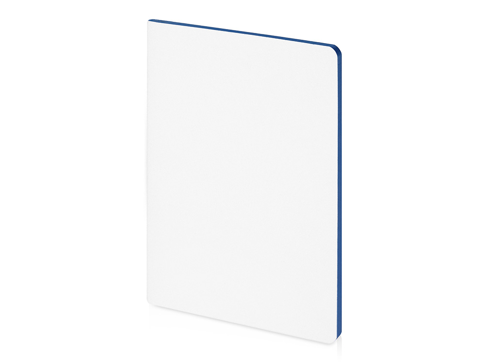 Бизнес-тетрадь А5 Pragmatic Contrast, 40 листов в клетку, белый с голубым срезом-0