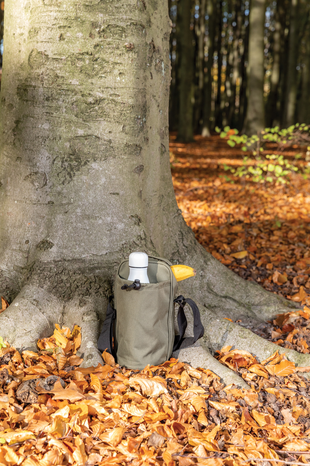 Сумка-холодильник Tierra-10