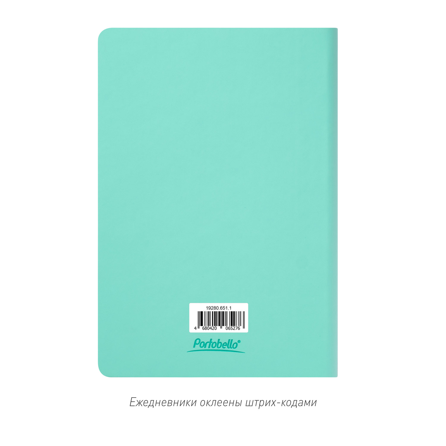 Ежедневник Спарк (Spark) недатированный, мятный (без упаковки, без стикера)-11