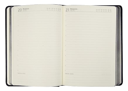 Ежедневник полудатированный Classic Pristine Silver А5, Чёрный/Серебряный-4