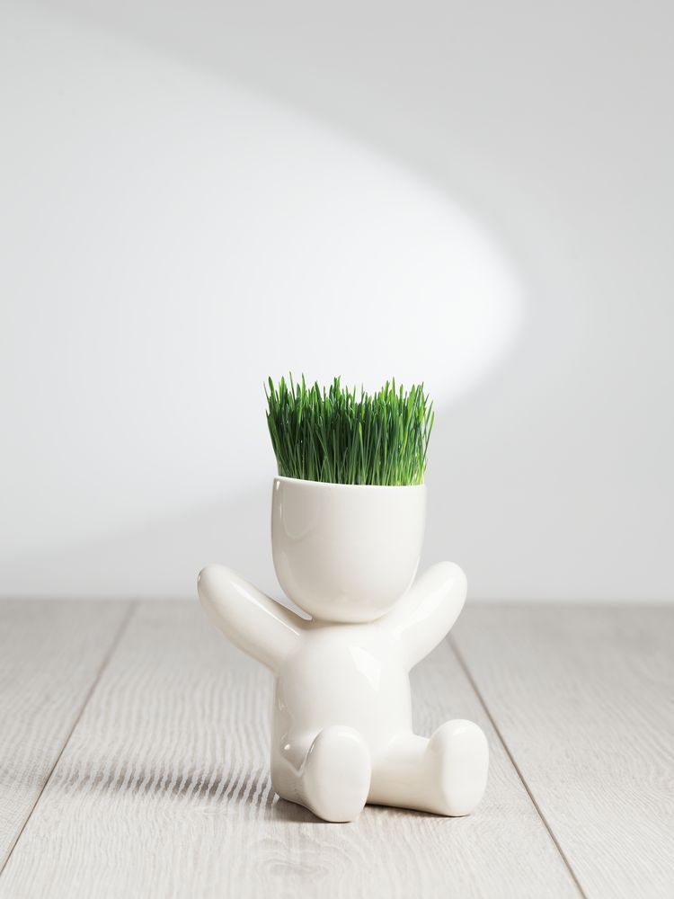 Набор для выращивания Funky Kid-3