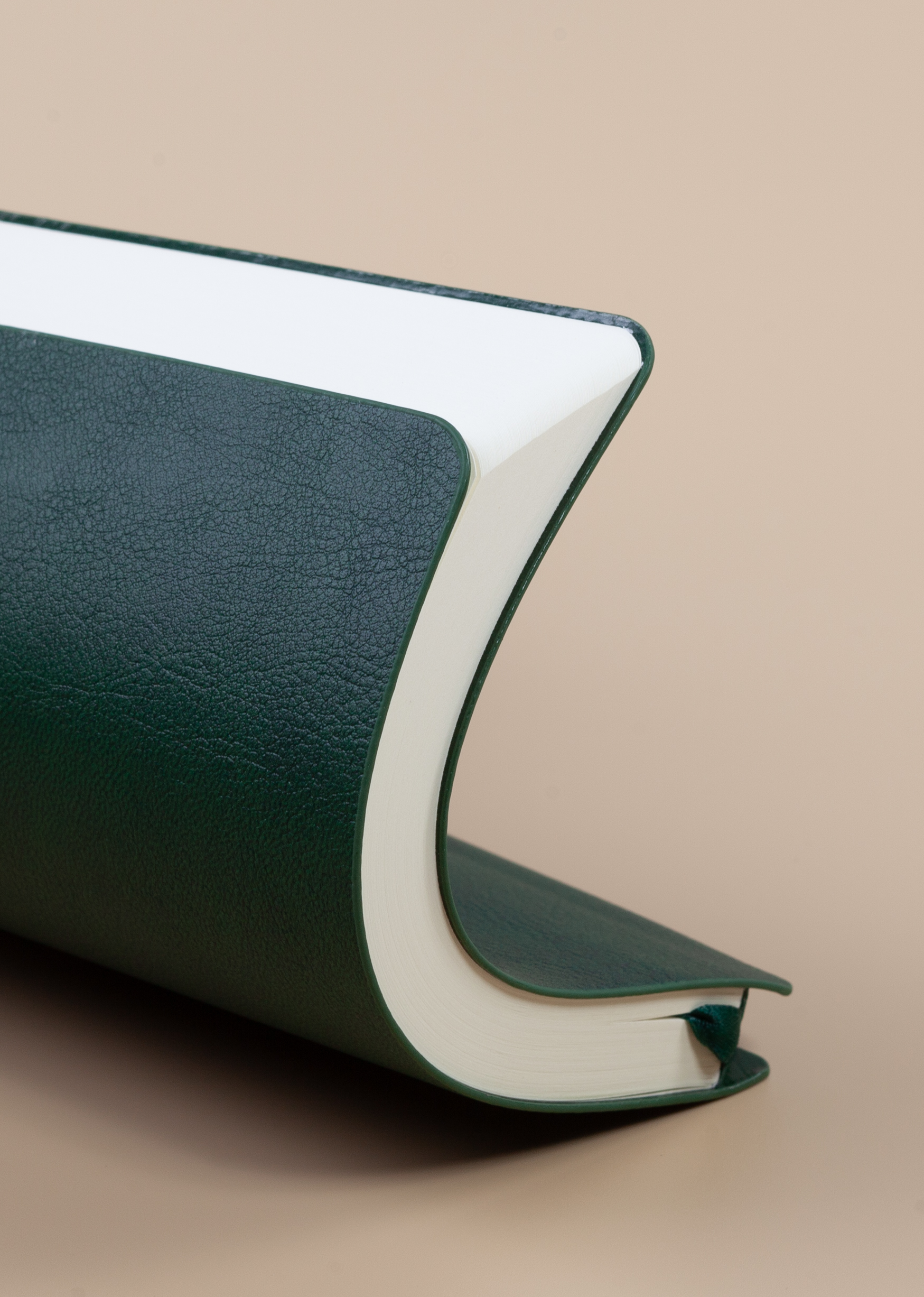 Ежедневник недатированный "Альба", формат А5, гибкая обложка-2