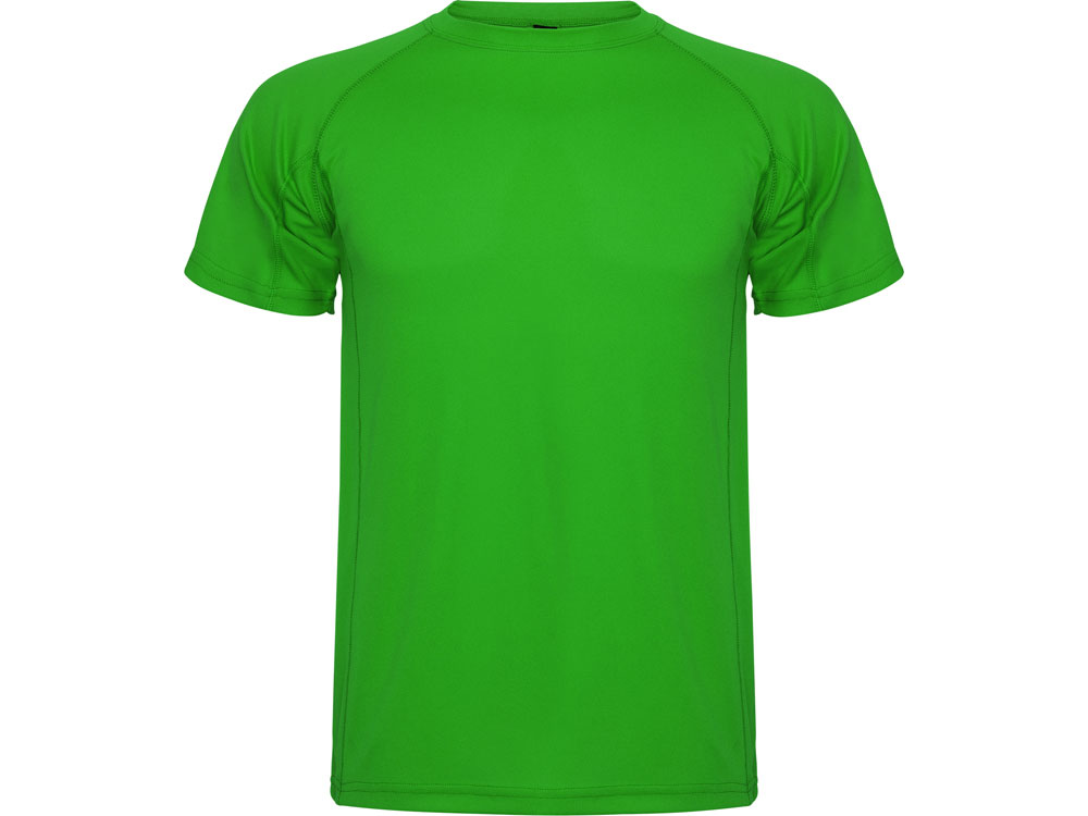 Спортивная футболка Montecarlo мужская, папоротниковый-0