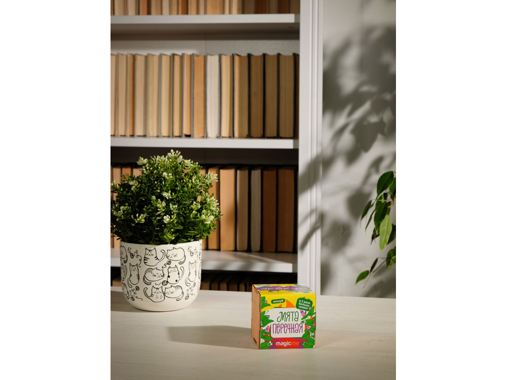 Набор для выращивания Экокуб Magicme Мята-4