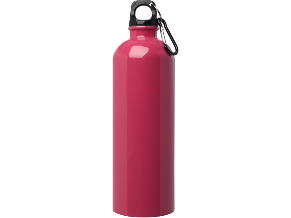 Одностенная бутылка для воды с карабином Oregon, изготовленная из нержавеющей стали, сертифицированной по стандарту RCS, объемом 750 мл - Фуксия-1