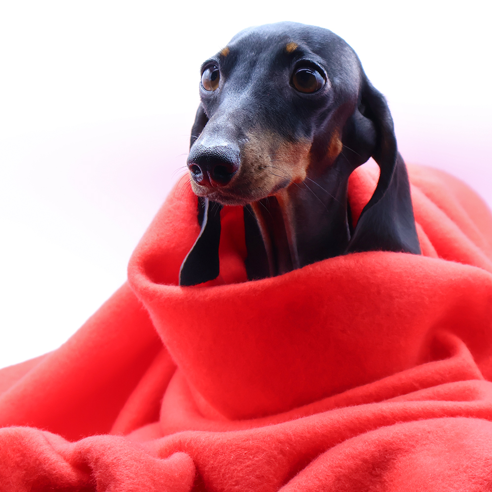 Плед PATIO, Красный-3