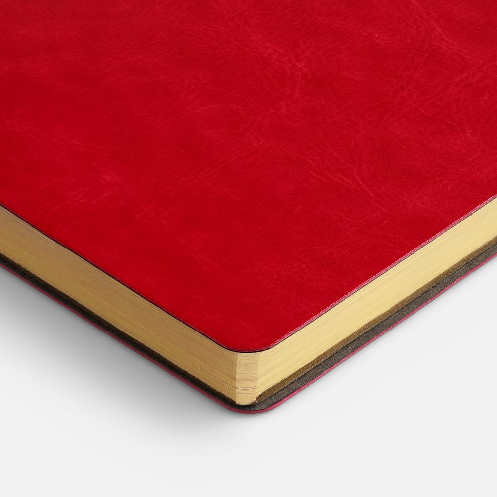 Ежедневник Nebraska Flex, недатированный, красный с золотистым-2