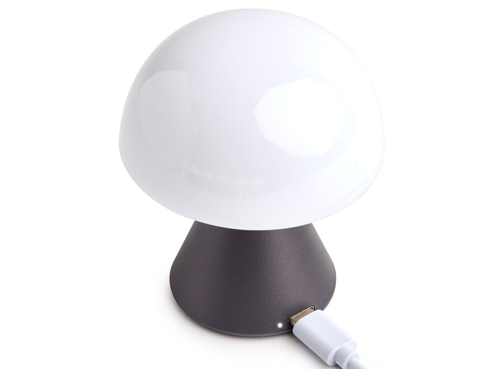 Лампа интерьерная Mina, Gun metal-2