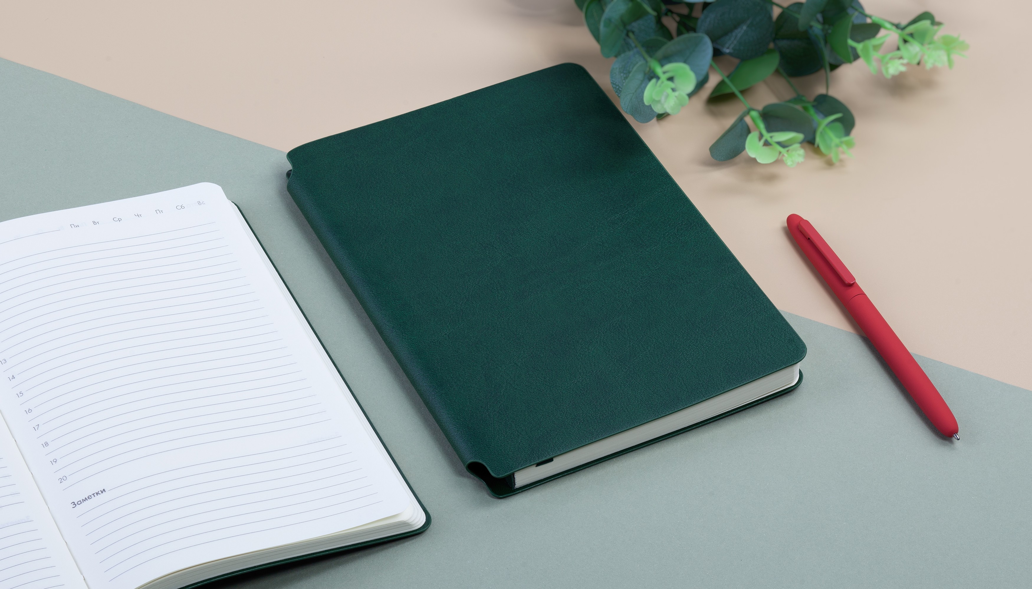 Ежедневник недатированный "Альба", формат А5, гибкая обложка-1