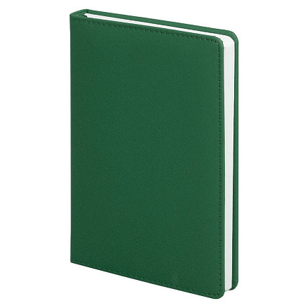 Ежедневник City Soft Touch Latte А5, Зелёный-0