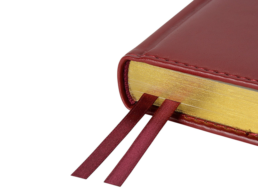 Ежедневник недатированный А5 Parliament, бордовый-3