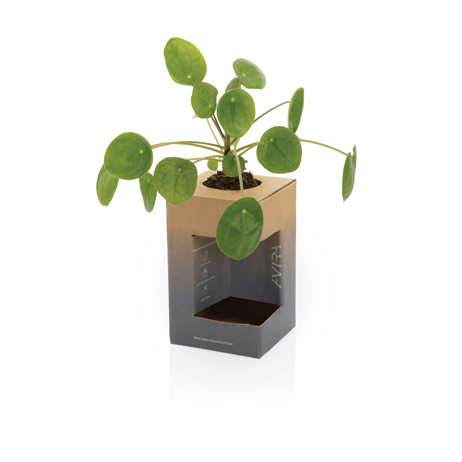 Термокружка Avira Alya из переработанной нержавеющей стали RCS, 300 мл-16