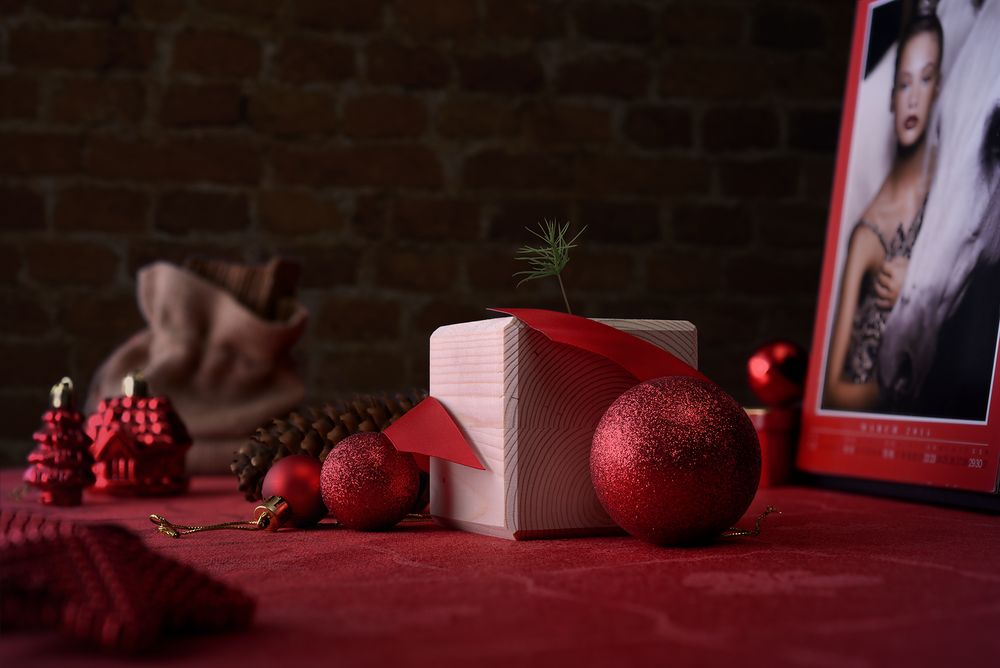 Набор для выращивания «Экокуб», ель голубая-2