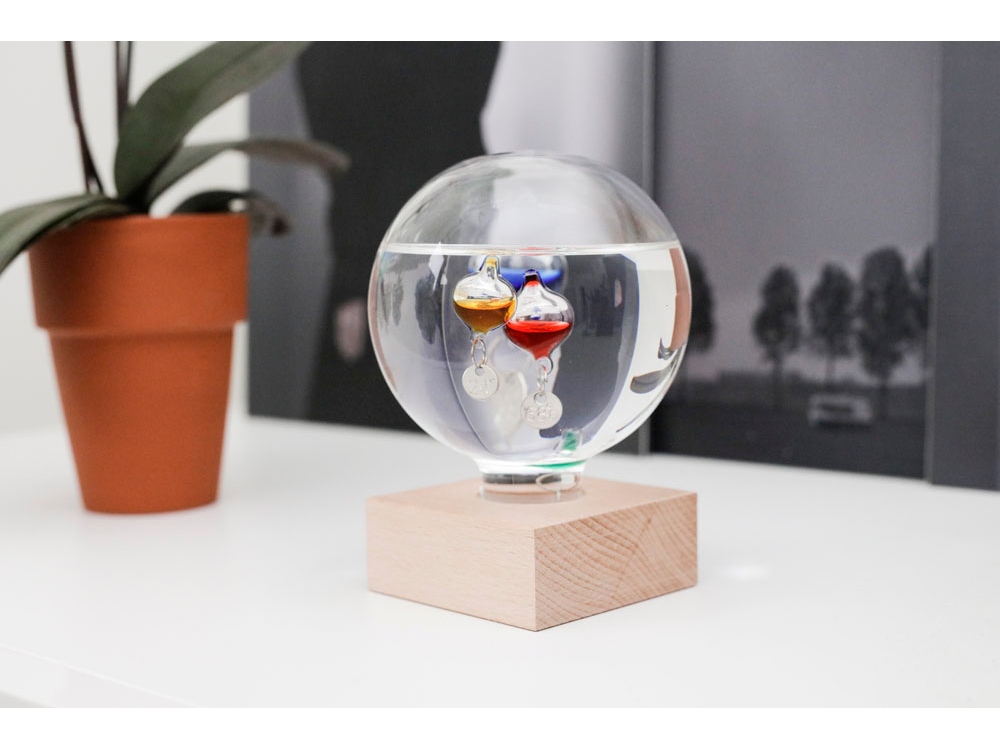 Термометр Galileo-5