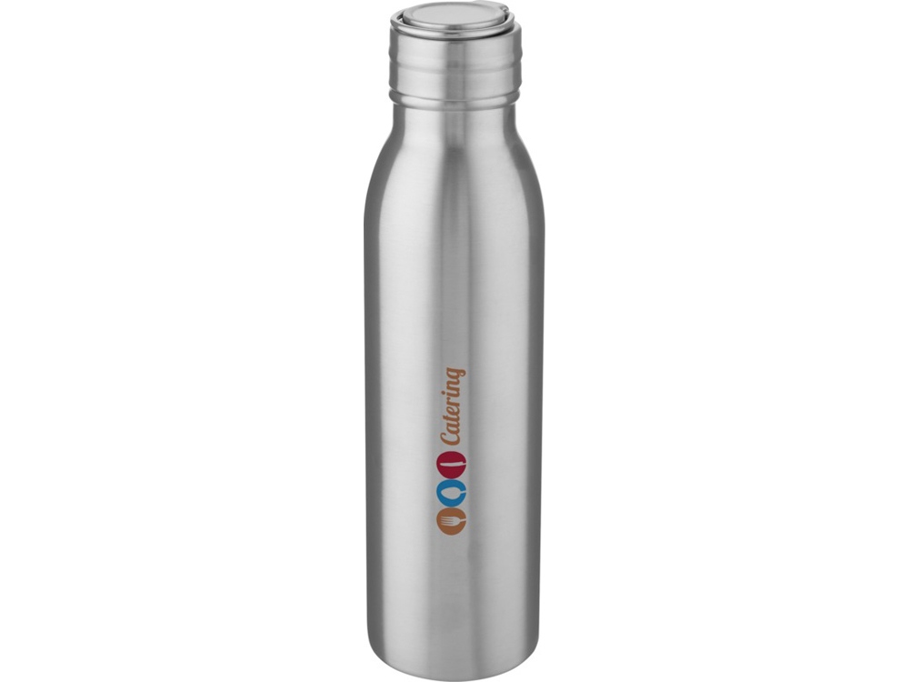 Harper, спортивная бутылка из нержавеющей стали объемом 700 мл с металлической петлей, серебристый-4