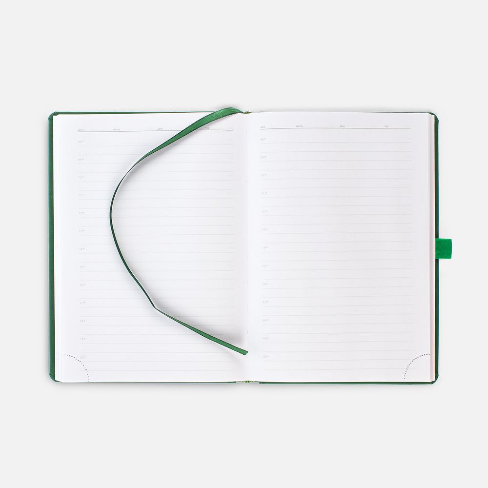 Ежедневник Favor Gold, недатированный, ярко-зеленый-2