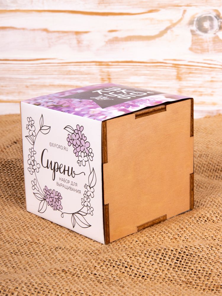 Набор для выращивания «Экокуб Lite», сирень-4