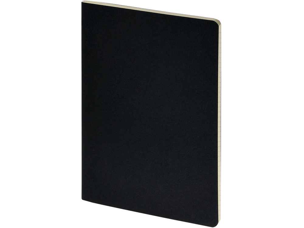 Бизнес тетрадь А5 Pragmatic, 40 листов в клетку, черный-0