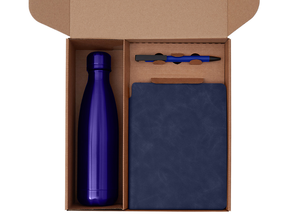 Подарочный набор с термобутылкой, блокнотом, ручкой и чаем, синий-1