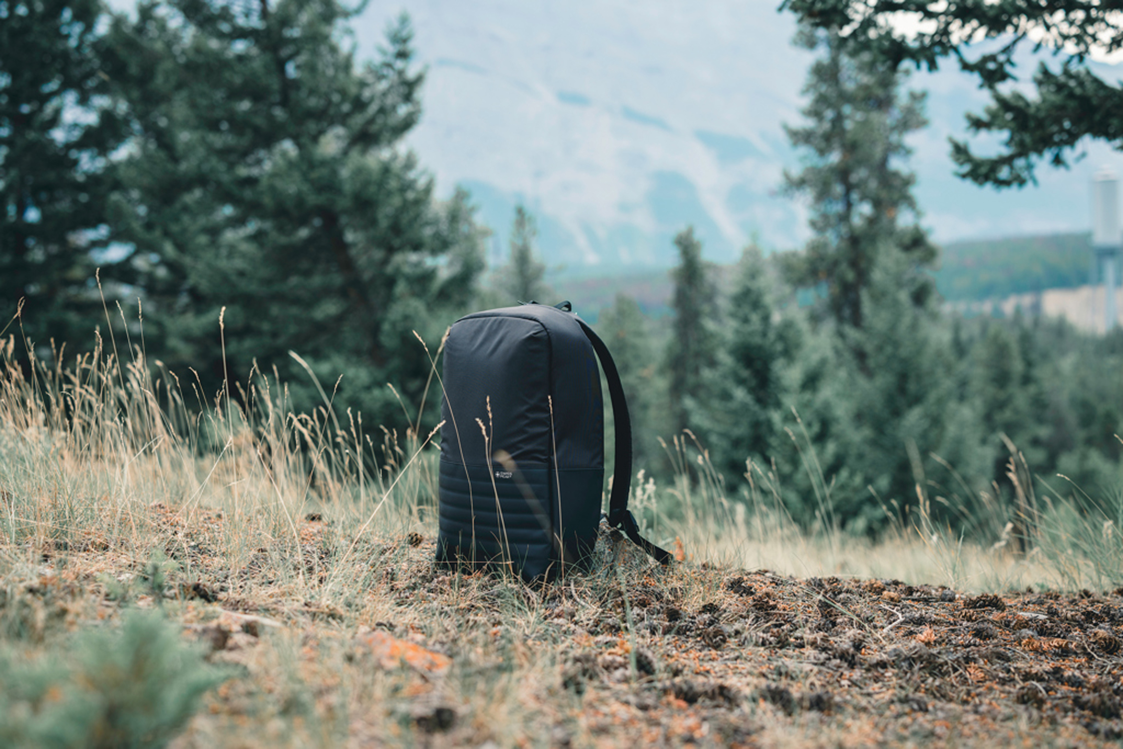 Антикражный рюкзак для ноутбука Swiss Peak с RFID-защитой из rPET AWARE™, 15,6’’-10