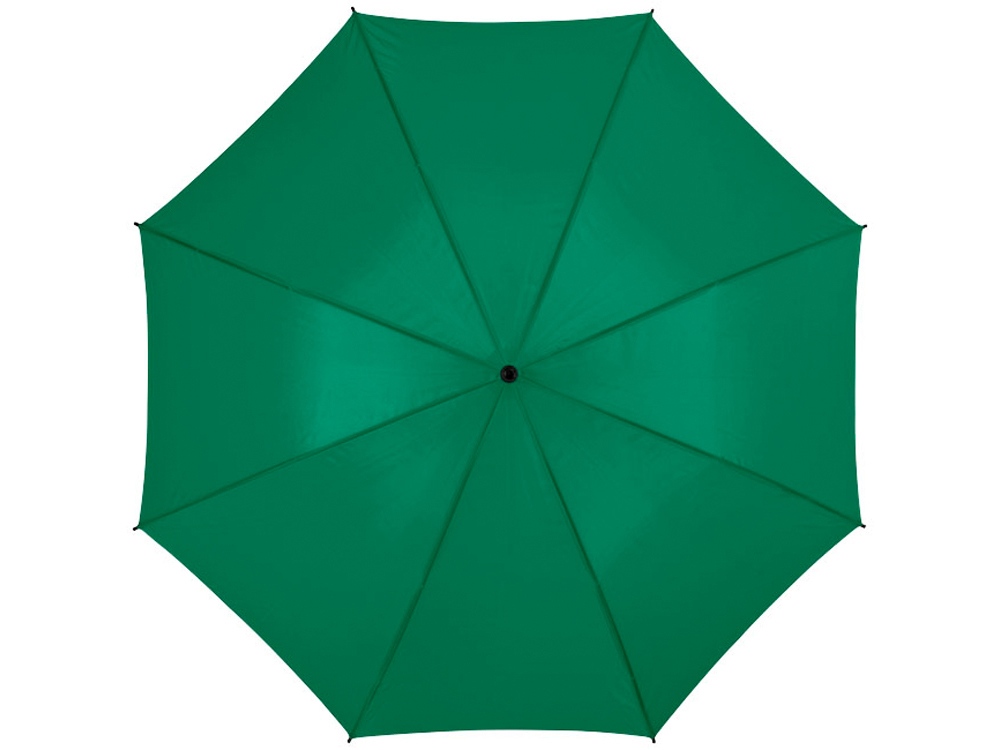 Зонт Barry 23 полуавтоматический, зеленый-1