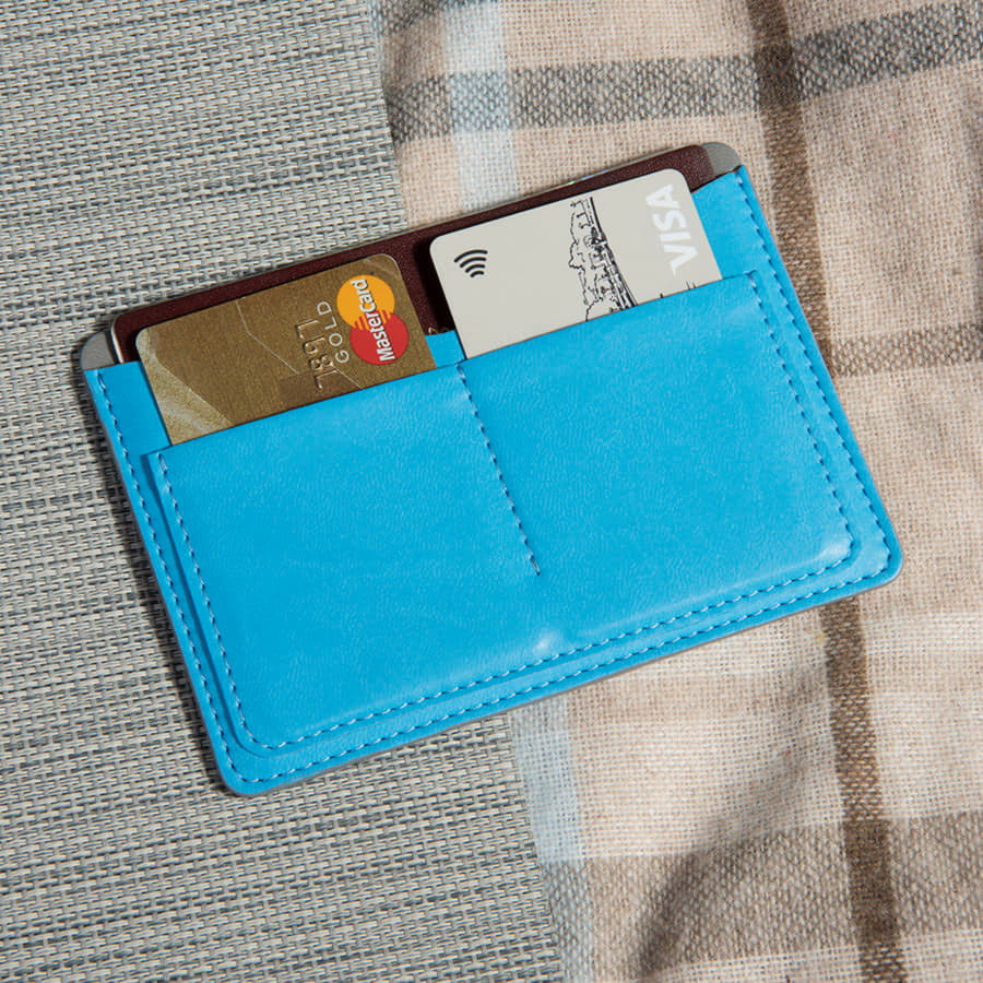 Холдер для паспорта и карт  EMOTION, голубой-2