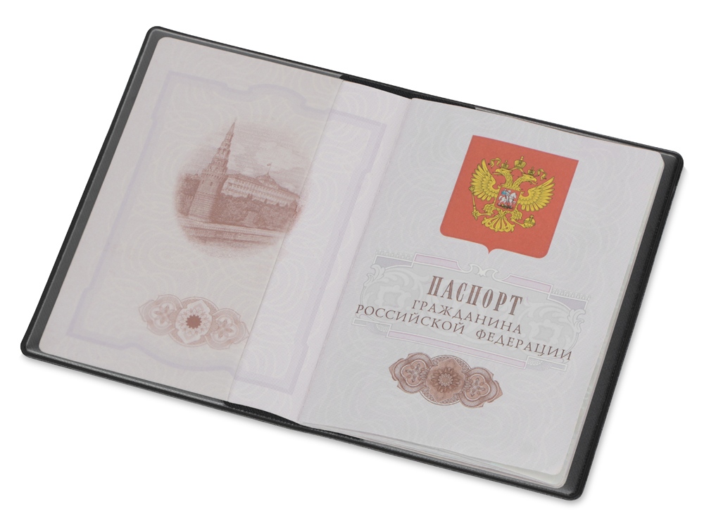 Классическая обложка для паспорта Favor, черная-1