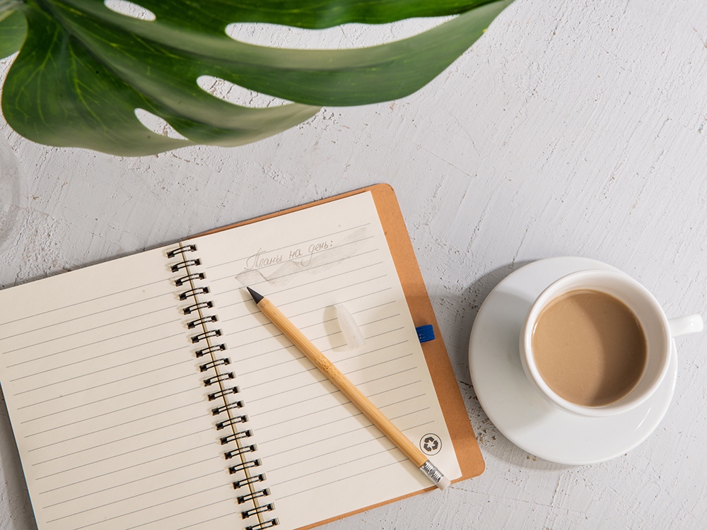 Вечный карандаш Nature из бамбука с белым ластиком-3