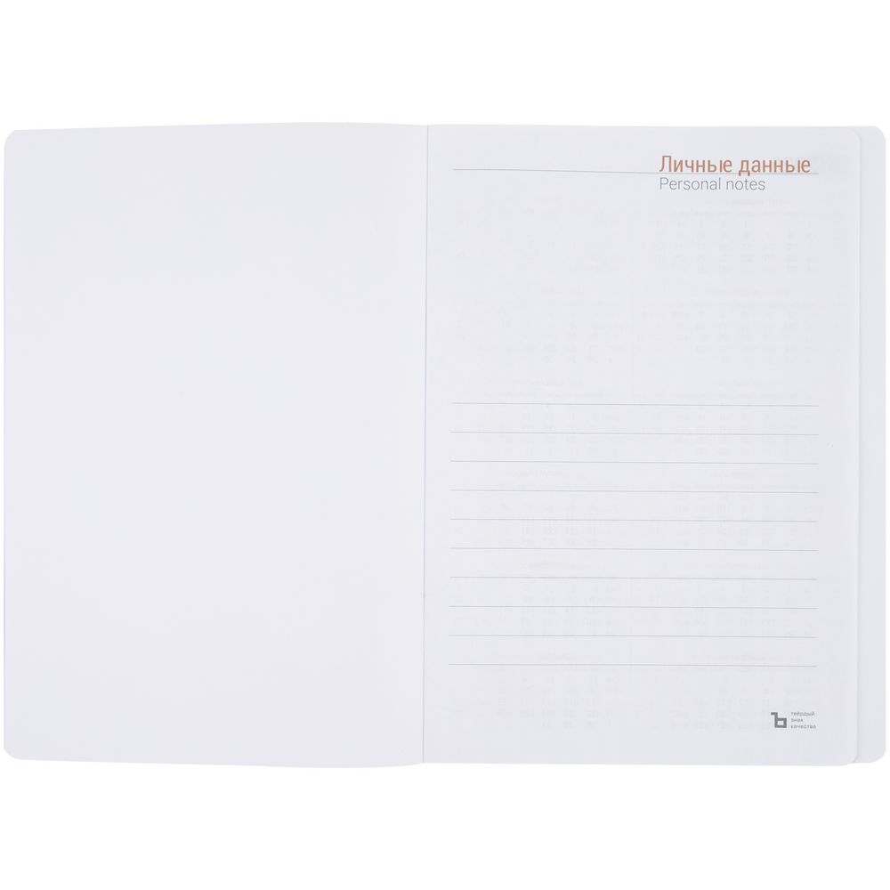 Ежедневник Flex Shall, датированный, синий-2