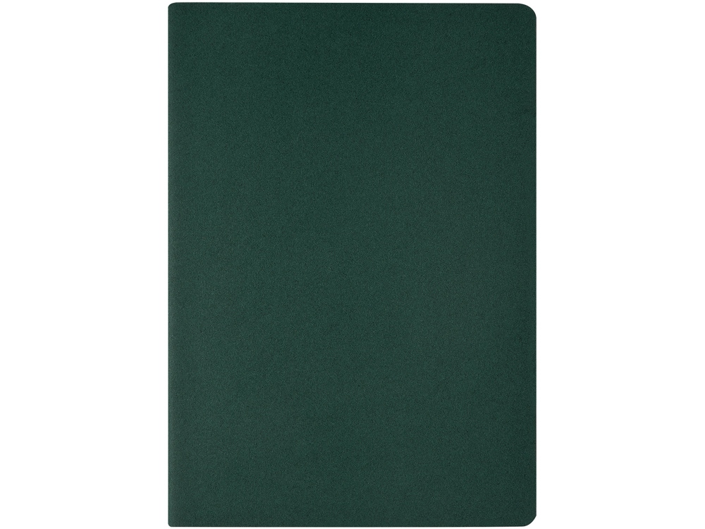 Бизнес тетрадь А5 Pragmatic, 40 листов в клетку, зеленый-1