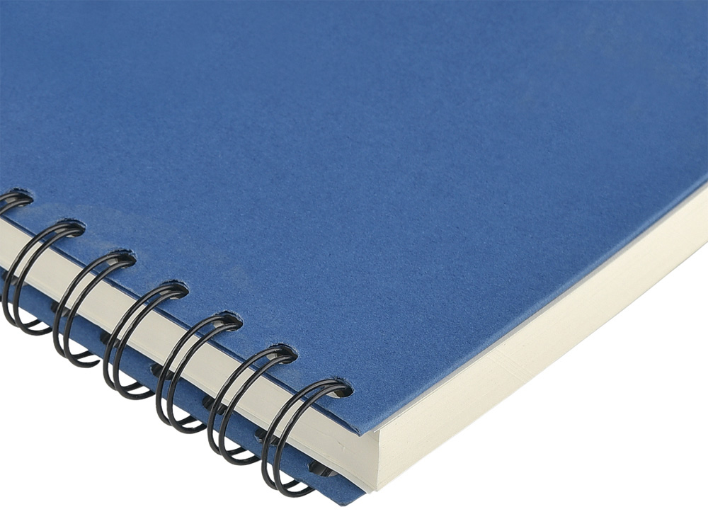 Ежедневник недатированный на гребне А5 Pragmatic, синий-3