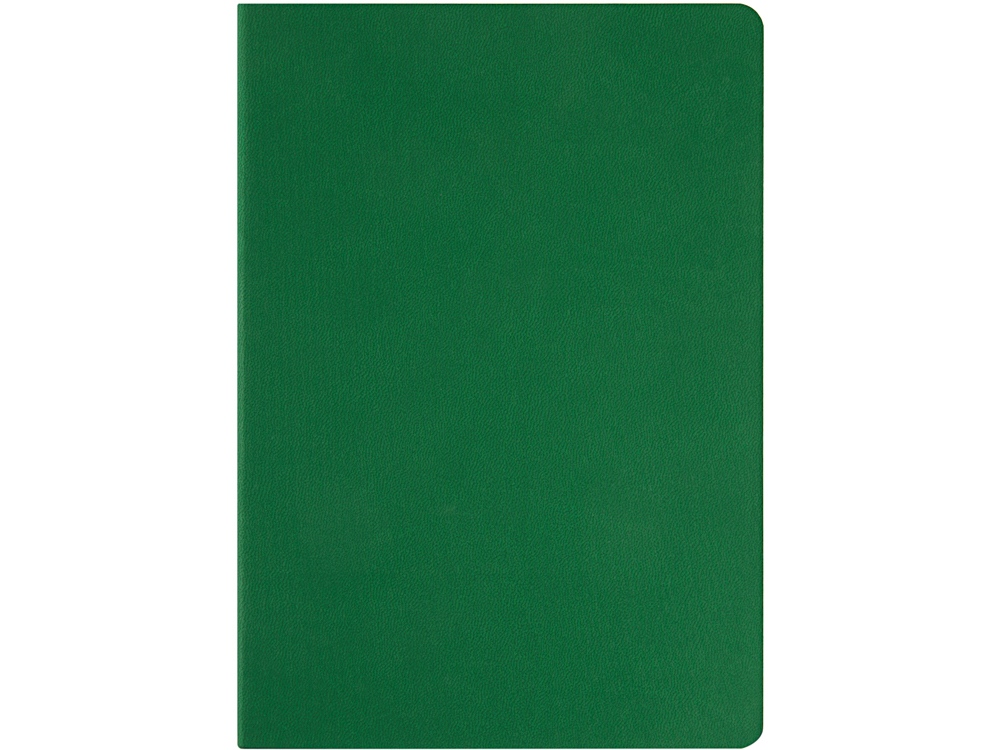 Ежедневник недатированный А5 Megapolis Color Flex, зеленый-3