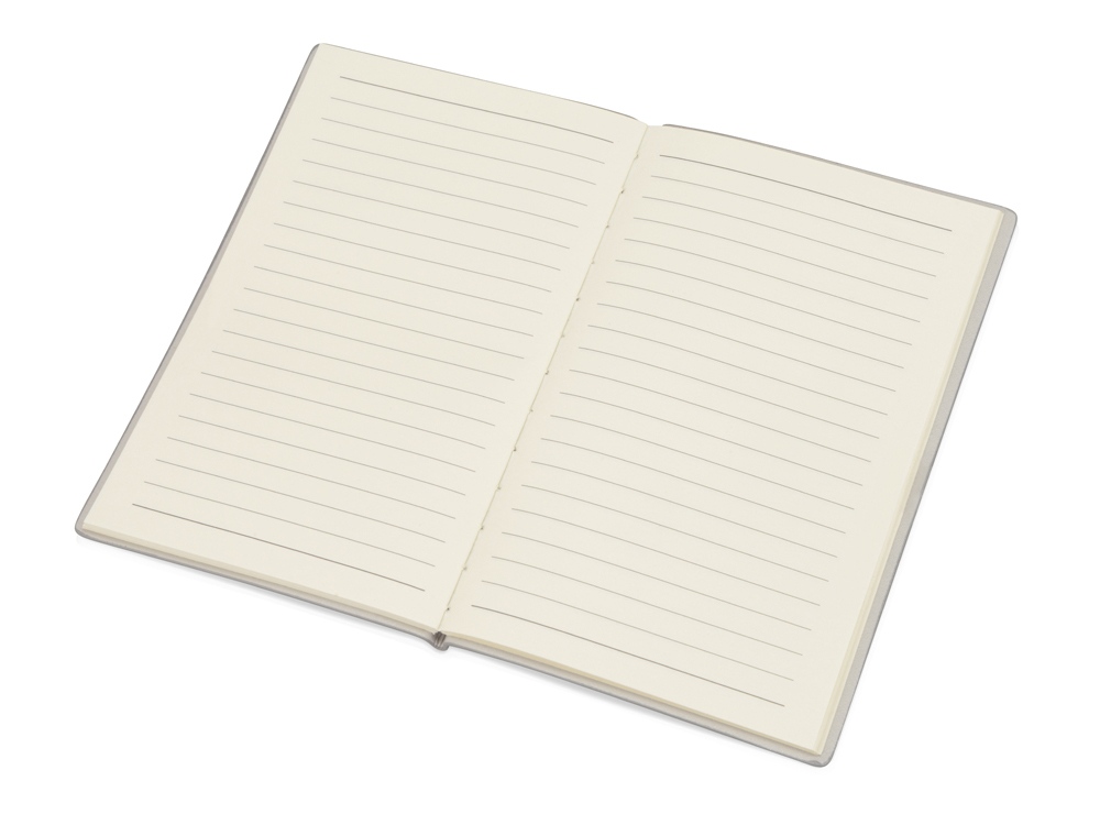 Блокнот А6 Riner, серый-1