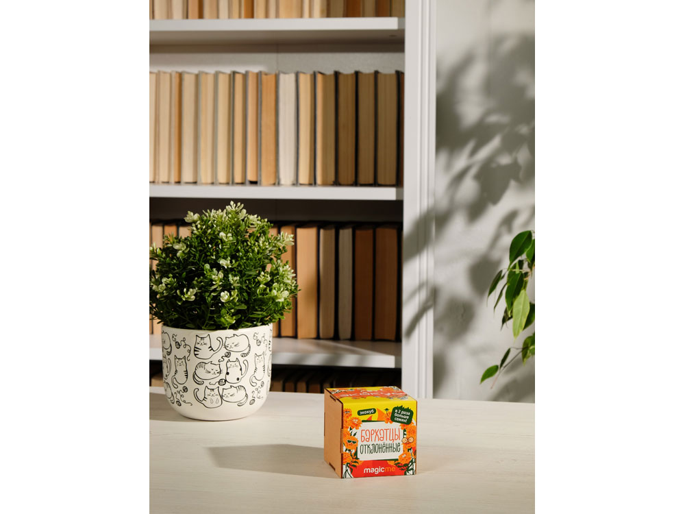 Набор для выращивания Экокуб Magicme Бархатцы-4