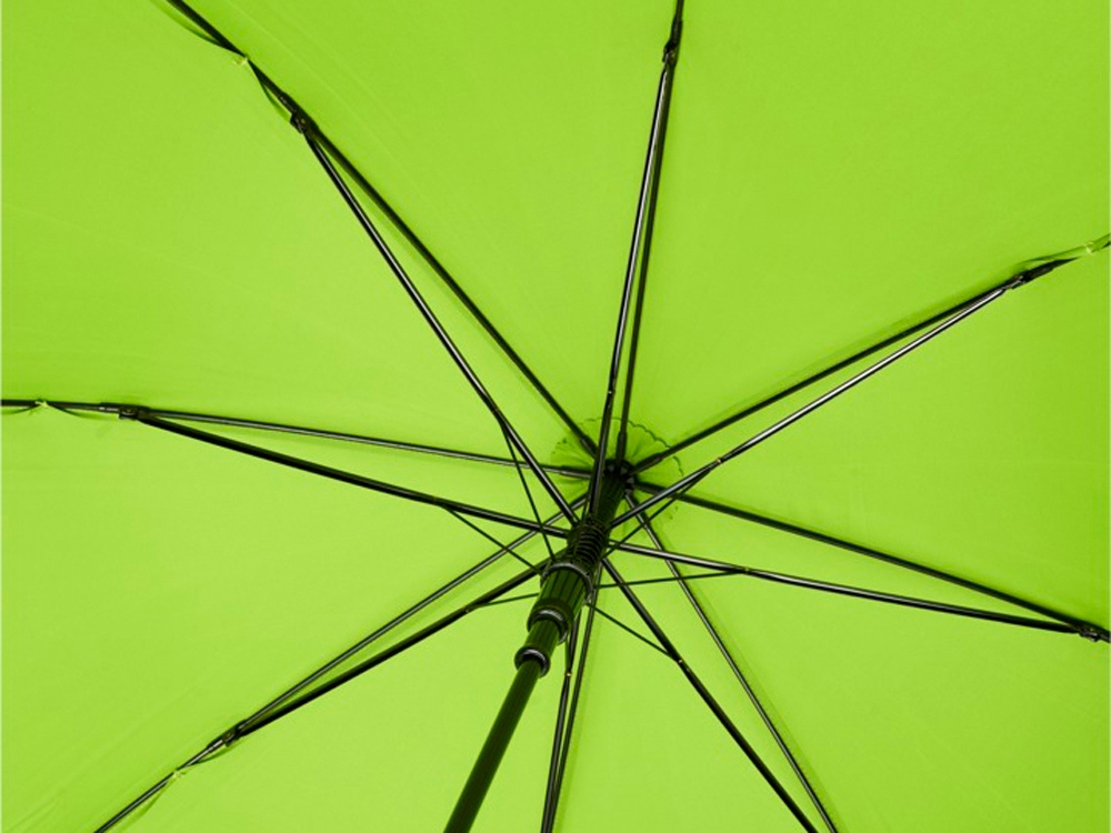 23-дюймовый автоматический зонт Alina из переработанного ПЭТ-пластика, лайм-2