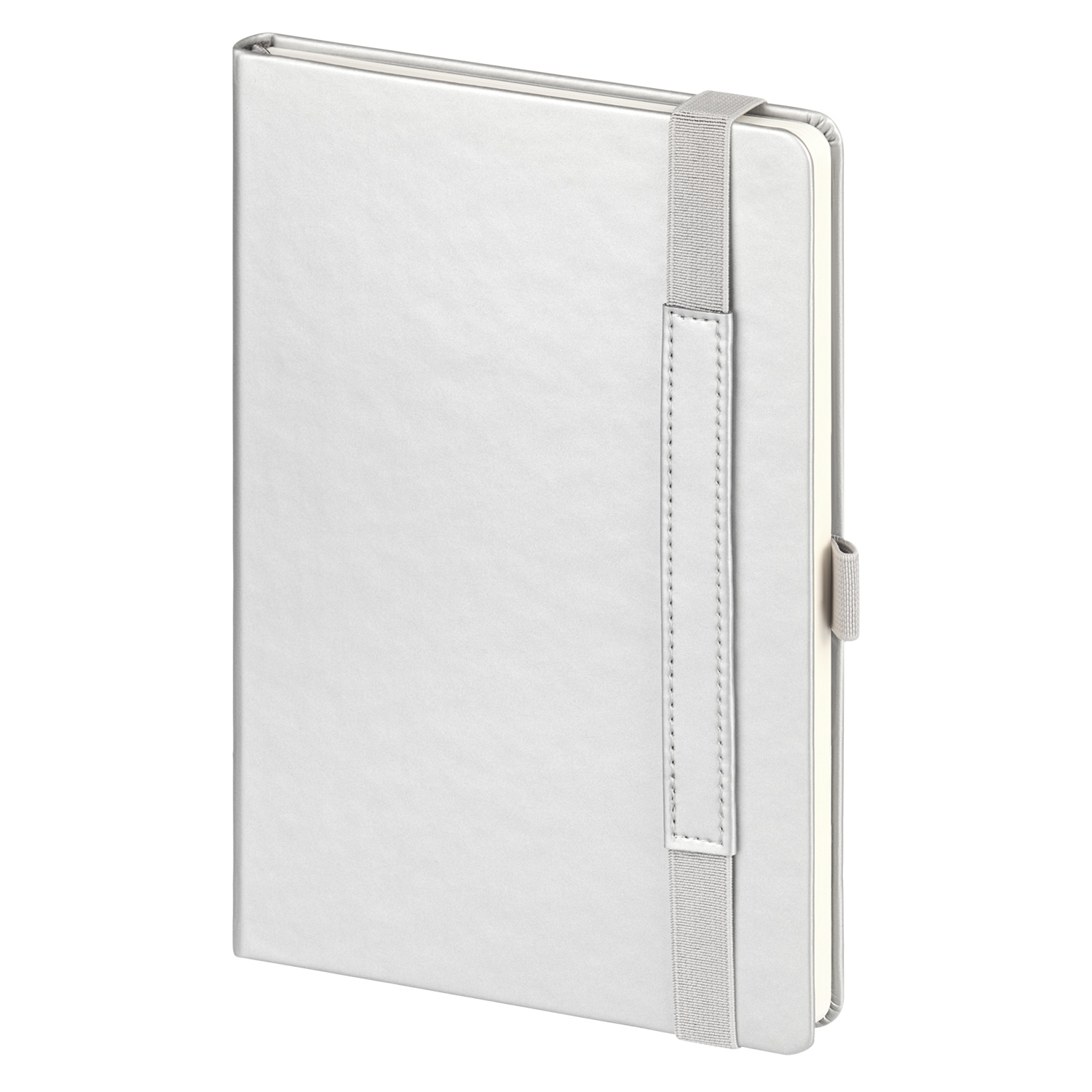 Ежедневник Альфа (Alpha) недатированный, серебро/серый-4