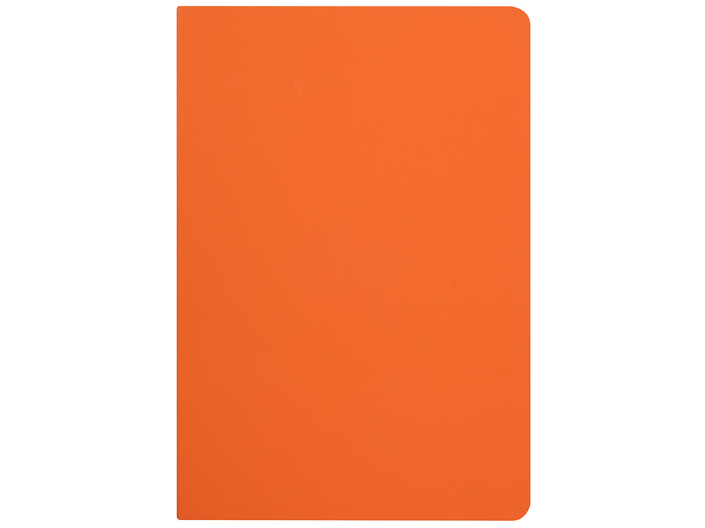 Бизнес-тетрадь А5 Pragmatic Contrast, 40 листов в клетку, оранжевый с темно-серым срезом-2
